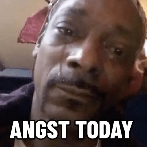 tiktok meme