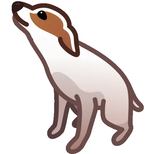 🦝Mascotas Animadas/TikTok🐶