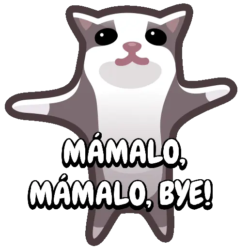 🦝Mascotas Animadas/TikTok🐶
