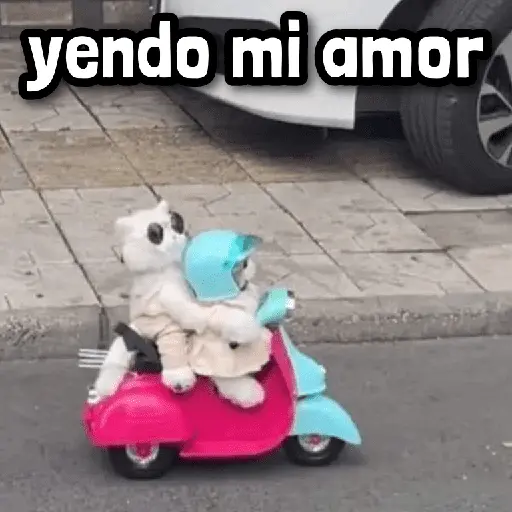 Más Reacciones #➊➏