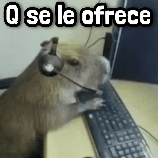 Más Reacciones #➊➏