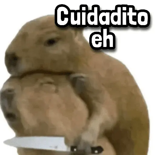 Más Reacciones #➊➏