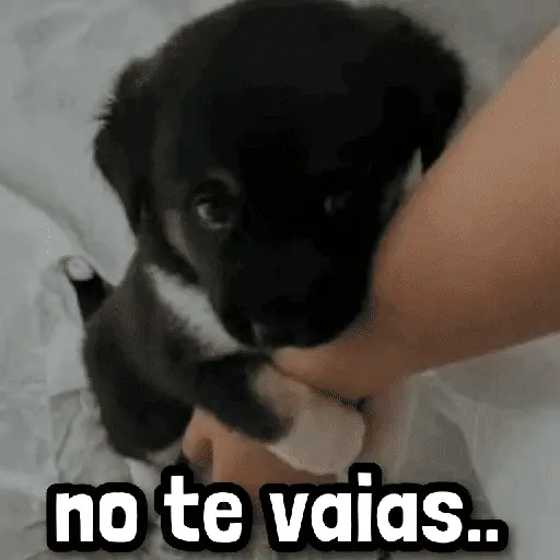Más Reacciones #➊➏