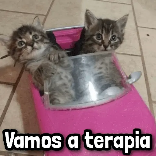 Más Reacciones #➊➏