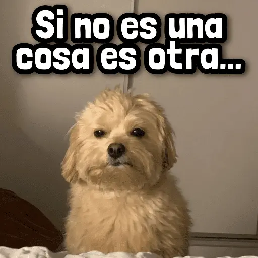 Más Reacciones #➊➏