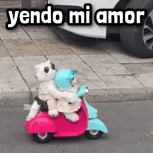 Más Reacciones #➊➏ preview