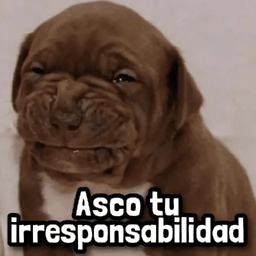 Más Reacciones #➊➏