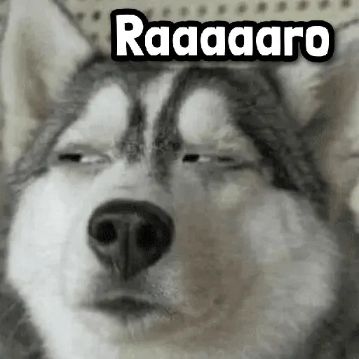 Más Reacciones #➊➏