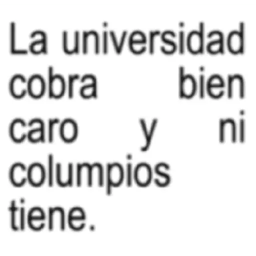 Frases textos Pal chat 🪧💬