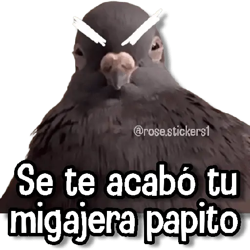 Memes Random➊ღ💫