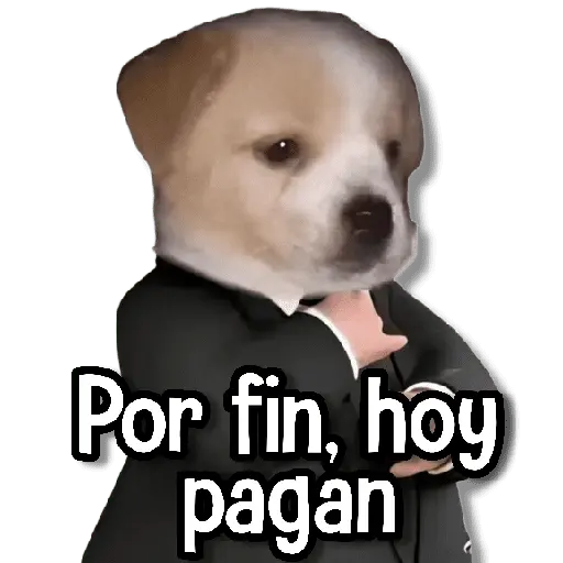 Memes Random➊ღ💫