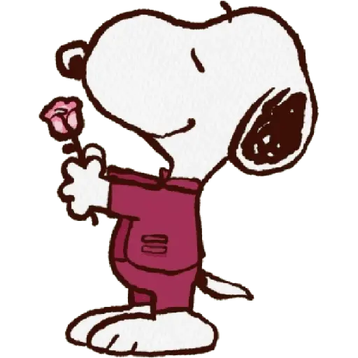 snoopy❤