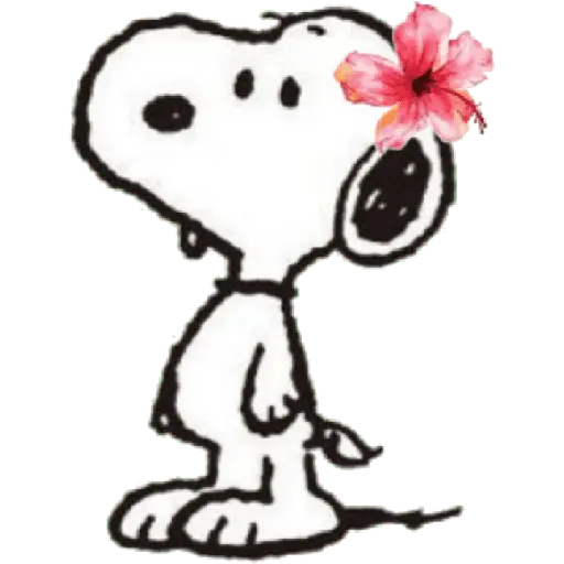 snoopy❤
