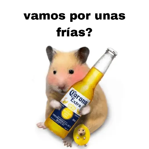 FRASES HAMSTER 2 🐹✨️