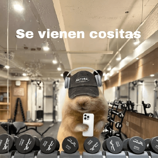 FRASES HAMSTER 2 🐹✨️ preview