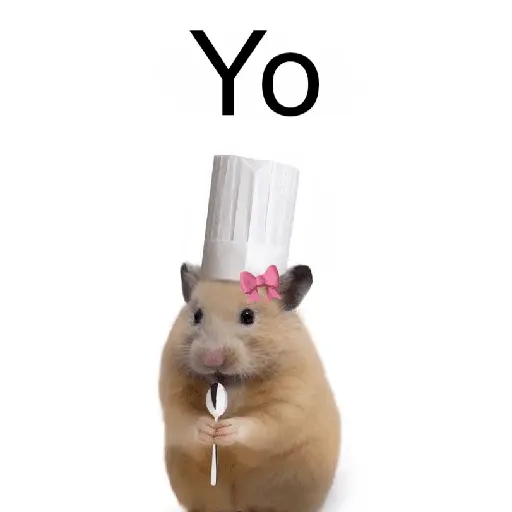FRASES HAMSTER 2 🐹✨️