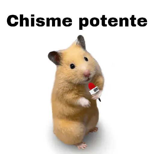 FRASES HAMSTER 2 🐹✨️