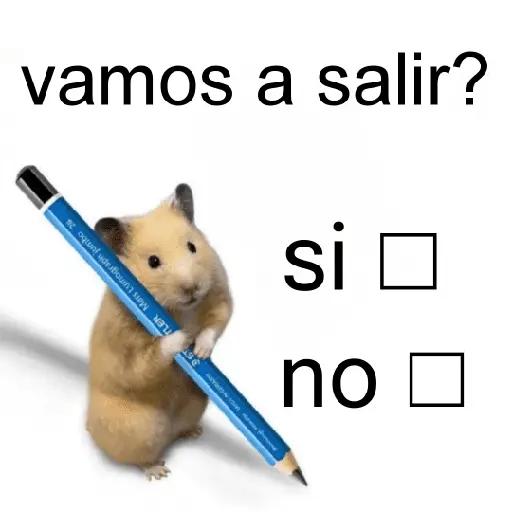 FRASES HAMSTER 2 🐹✨️