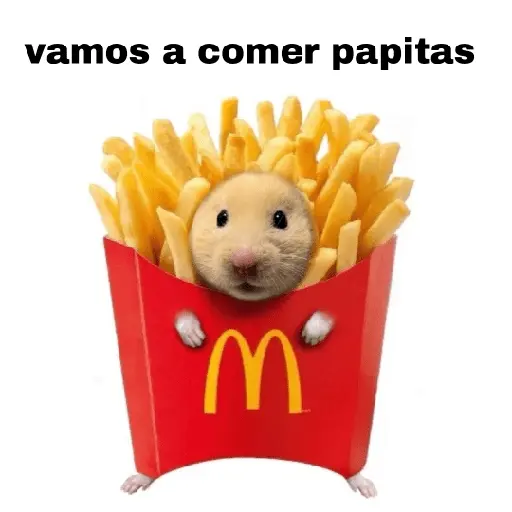 FRASES HAMSTER 2 🐹✨️
