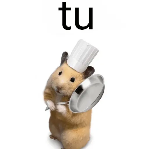 FRASES HAMSTER 2 🐹✨️