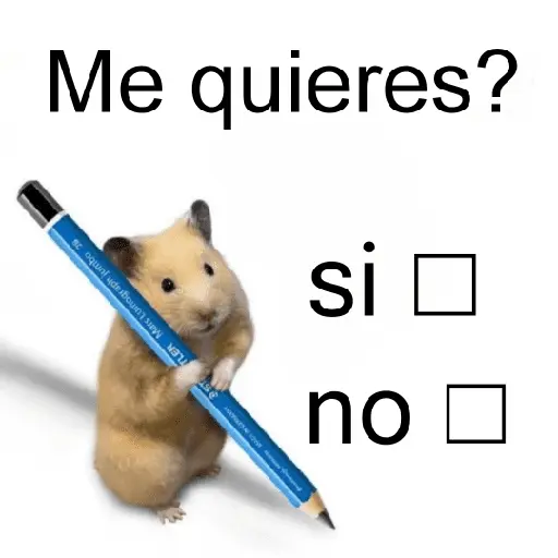 FRASES HAMSTER 2 🐹✨️