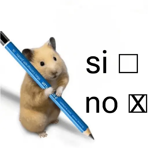 FRASES HAMSTER 2 🐹✨️