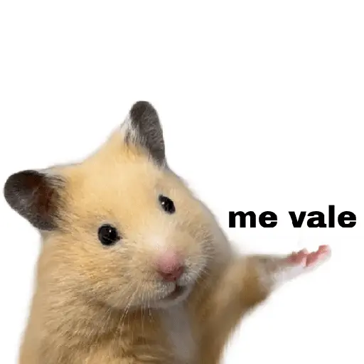 FRASES HAMSTER 2 🐹✨️