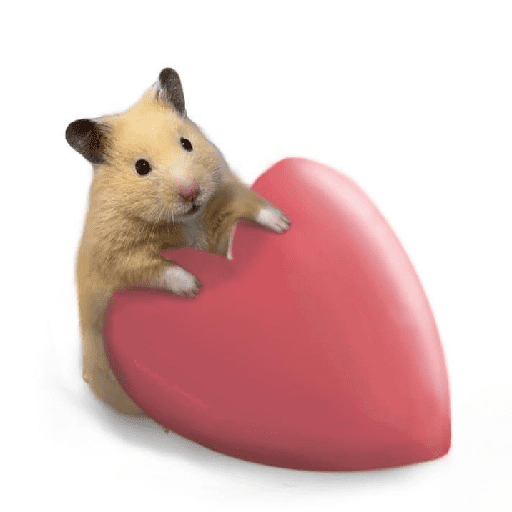 FRASES HAMSTER 2 🐹✨️ preview