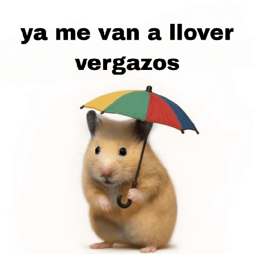 FRASES HAMSTER 2 🐹✨️ preview