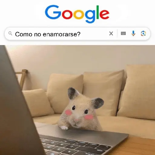 FRASES HAMSTER 2 🐹✨️