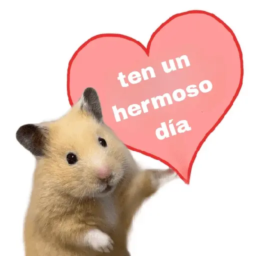 FRASES HAMSTER 2 🐹✨️