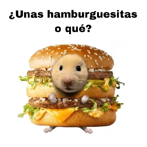 FRASES HAMSTER 2 🐹✨️
