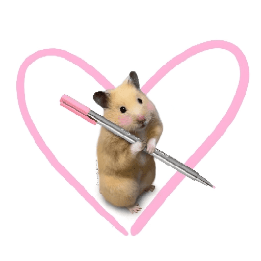 FRASES HAMSTER 2 🐹✨️ preview