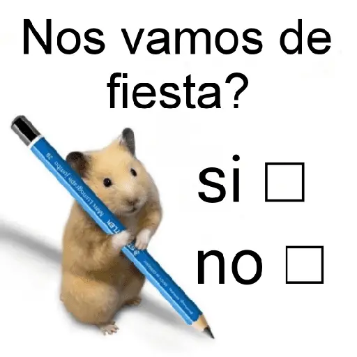 FRASES HAMSTER 2 🐹✨️