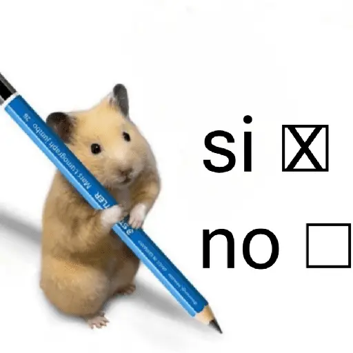 FRASES HAMSTER 2 🐹✨️