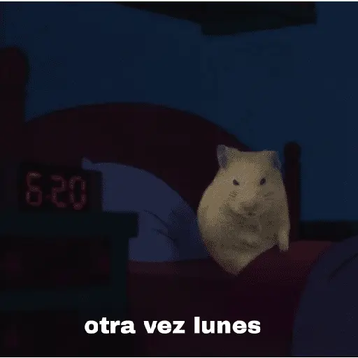 FRASES HAMSTER 2 🐹✨️