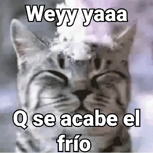 Frío 🧊🌬️❄️🌨️