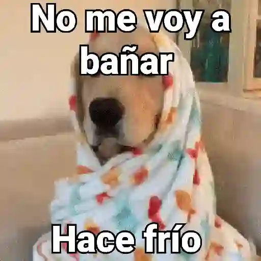 Frío 🧊🌬️❄️🌨️