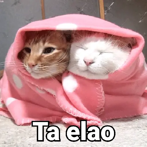 Frío 🧊🌬️❄️🌨️