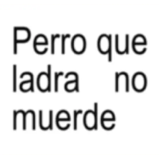 textos brat frases 2