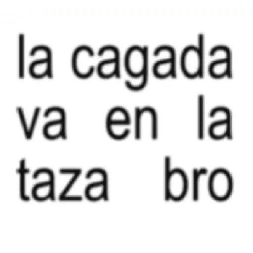 textos brat frases 2