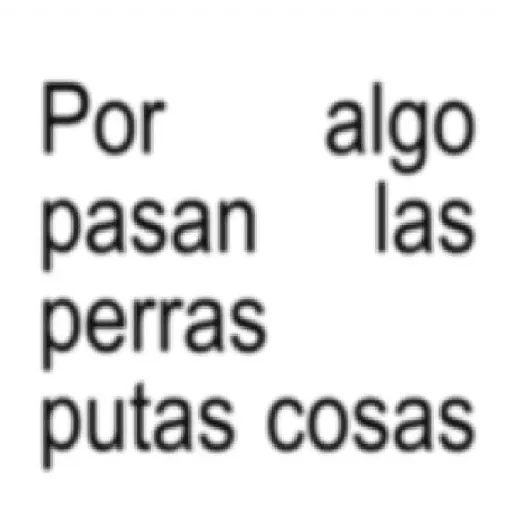 textos brat frases 2