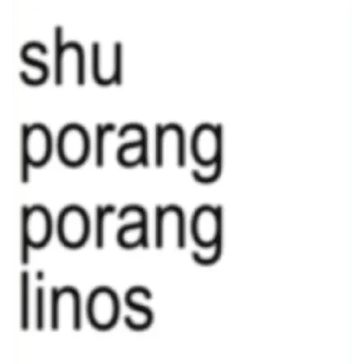SKZ TEXTO