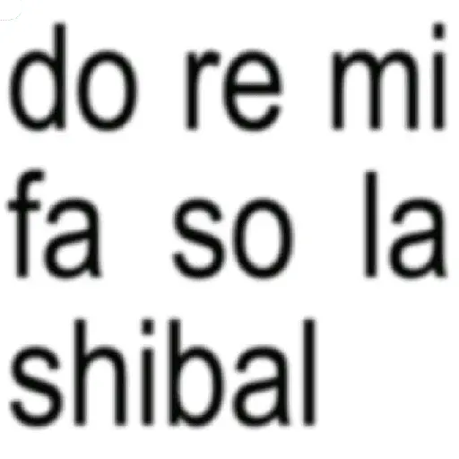SKZ TEXTO