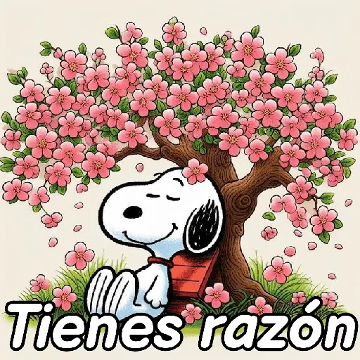 🦴 Snoopy para tí 🏠🐾🦴