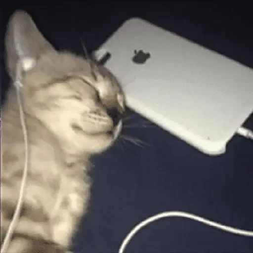 ouvindo música