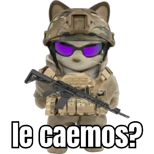 Ternurines memes 🐶