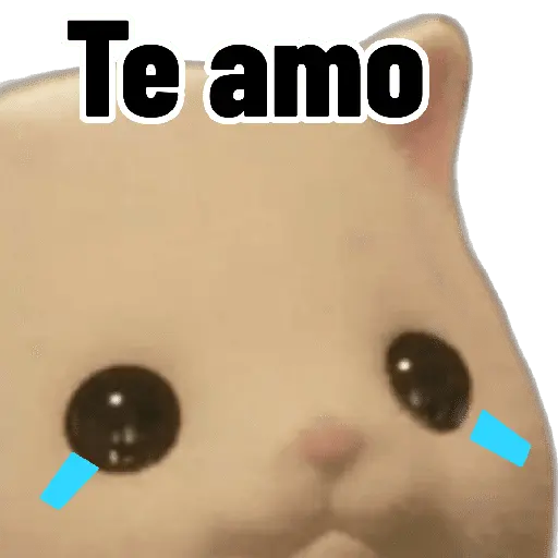 Ternurines memes 🐶