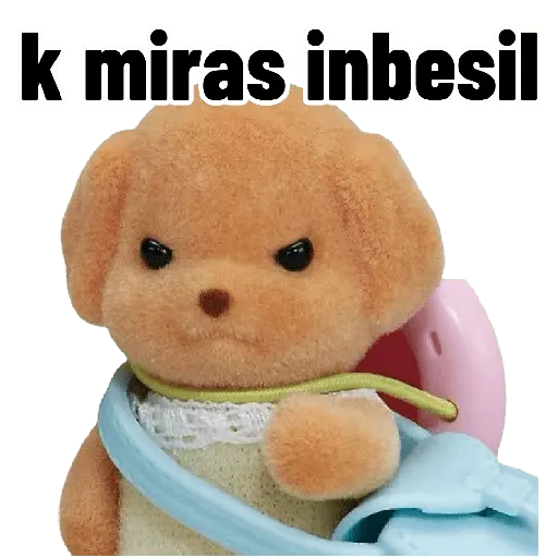 Ternurines memes 🐶