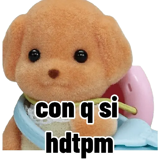 Ternurines memes 🐶